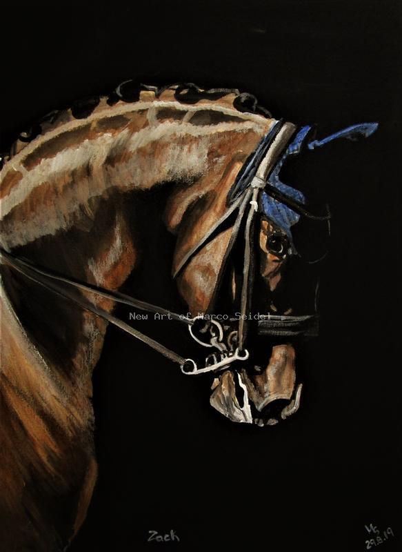 Marco Seidel's Bild Blue Horse Zack