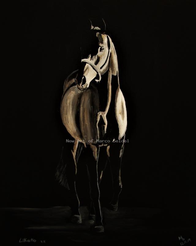 Marco Seidel's Bild Likoto xx 2